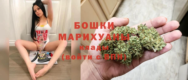 хмурый Козловка