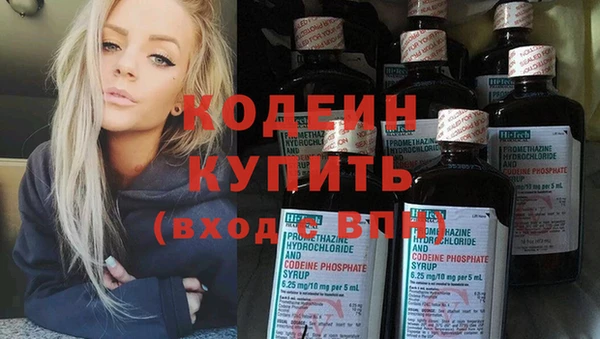 хмурый Козловка
