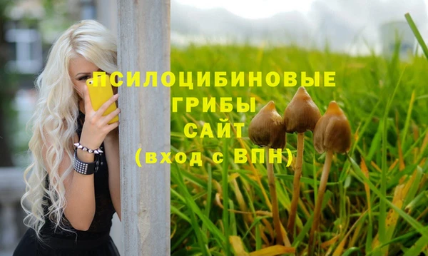 прущая мука Кодинск
