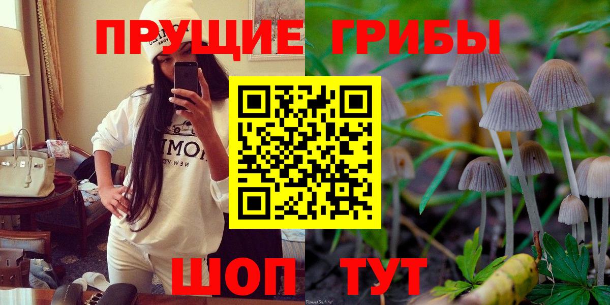 Прокопьевск  Галлюциногенные грибы прущие грибы  Вход с VPN  Галлюциногенные грибы Psilocybe 