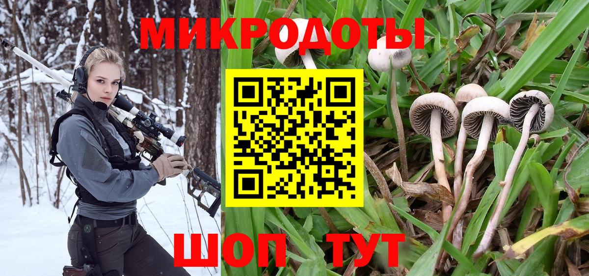 Галлюциногенные грибы мицелий Прокопьевск